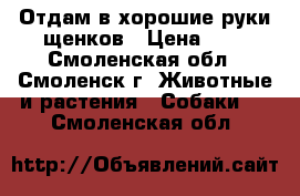 Отдам в хорошие руки щенков › Цена ­ 1 - Смоленская обл., Смоленск г. Животные и растения » Собаки   . Смоленская обл.